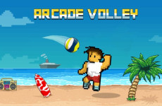 Arcade Volley img