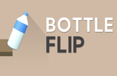 Bottle Flip img