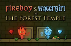 Fireboy and Watergirl img