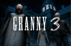 Granny 3 img