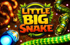 Little Big Snake img