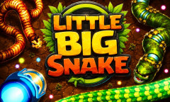 Little Big Snake img