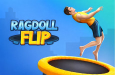 Ragdoll Flip img