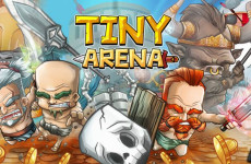 Tiny Arena img