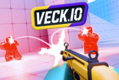 Veck IO img