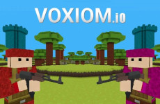 Voxiom.io img