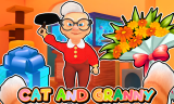 Cat And Granny img