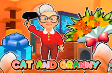 Cat And Granny img