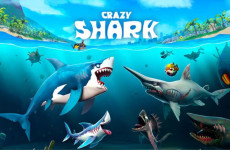Crazy Shark img
