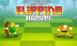 Flipping Master img