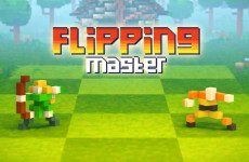 Flipping Master img