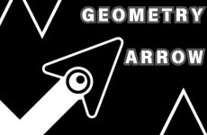 Geometry Arrow img