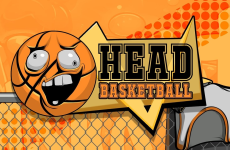 Head Basketball img
