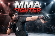 Mma Fighter img