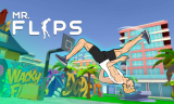 Mr Flip img