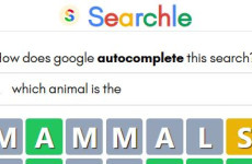Searchle img