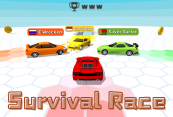 Survival Race img