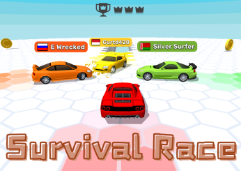 Survival Race img