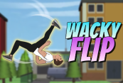 Wacky Flip img