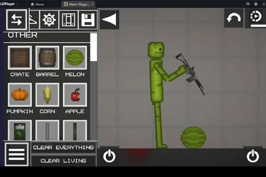 Melon Playground interface