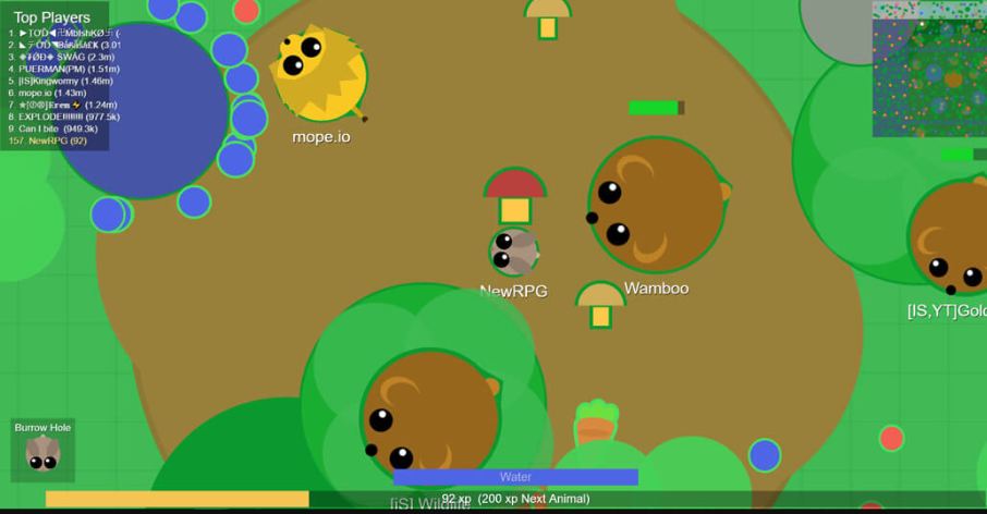 introduction to Mope IO